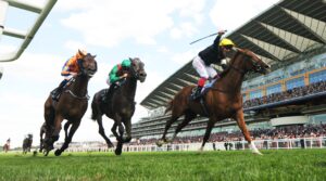 DSC 2400 Stradivarius