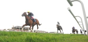 DSC 3573 Stradivarius