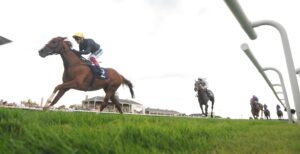 DSC 3574 Stradivarius