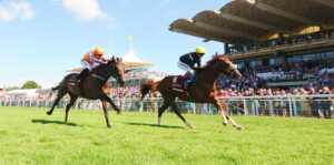 DSC 4861 Stradivarius