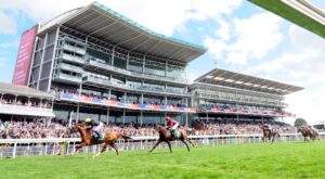 DSC 6620 Stradivarius