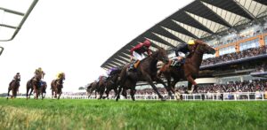 DSC 6630 Stradivarius