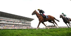 DSC 8154 Stradivarius