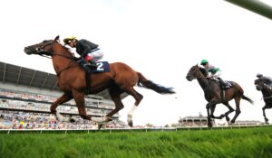 DSC 8155 Stradivarius