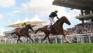 DSC 8967 Stradivarius