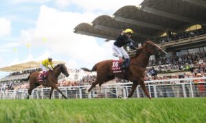 DSC 8968 Stradivarius