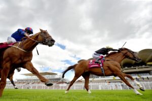 Stradivarius 3   Copy