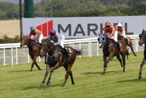 20J7007 Reins Reigns Rains