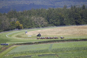 78F8994 Goodwood bend