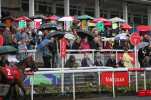 EN4D9021 Racing League crowds