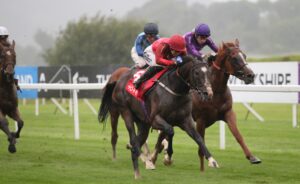 EN4D9340 Fantasy Believer