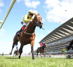 FU0E3602 Royal Rhyme