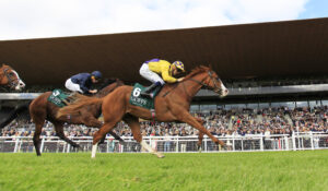 16B0030 Scorthy Champ