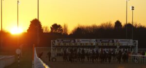 16B1465 Wolverhampton