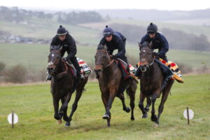 16B3514 Altior [left]