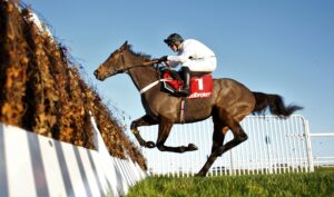 16B4830 Constitution Hill