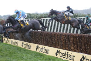 16B8254 Altior