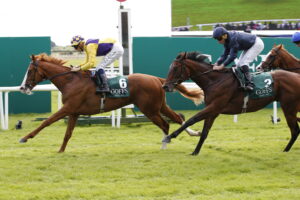 20J2236 Scorthy Champ