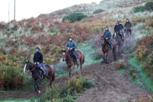 20J2386 Win My Wings leads Christian Williams string