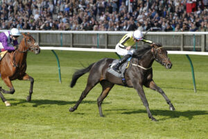 20J2749 Wimbledon Hawkeye