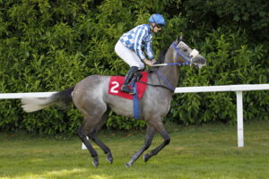 20J5528 Silver Sword