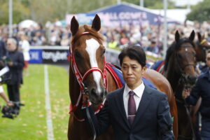 78F0203 Shin Emperor