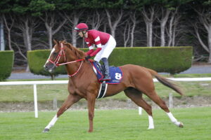78F0246 Shin Emperor