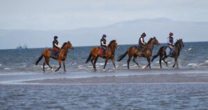 78F0939 Laytown