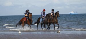 78F0944 Laytown