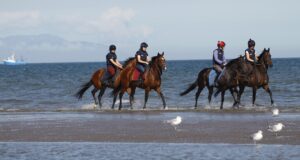 78F0948 Laytown
