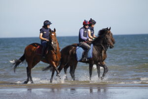 78F0959 Laytown