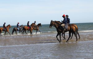 78F0964 Laytown
