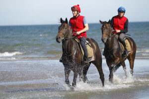 78F0974 Laytown