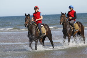 78F0977 Laytown