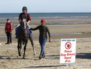 78F1003 Laytown