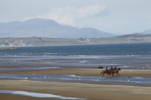 78F1016 Laytown