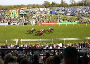 78F7843 Plumpton crowds