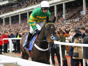 78F8334 Jeriko Du Reponet