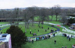 DSC 8811 Folkestone paddock