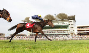 EN4D9547 Mqse De Sevigne