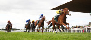 FU0E0679 Scorthy Champ
