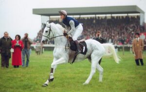 R001 005 Desert Orchid