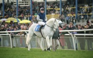 img614 Desert Orchid