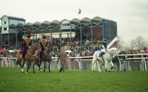 img615 Desert Orchid