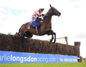 16B4336 Hang In There