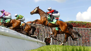 16B4904 Kitty’s Light