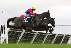 16B5453 Dashel Drasher