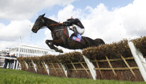 16B6522 Strong Leader