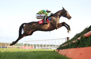 16B8154 Fact To File