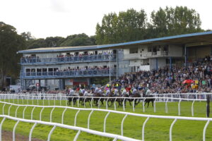 16B9670 Newton Abbot stands